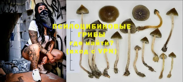 эйфоретик Михайловск