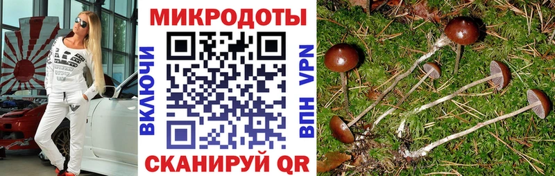 ОМГ ОМГ tor наркота Копейск Галлюциногенные грибы Cubensis