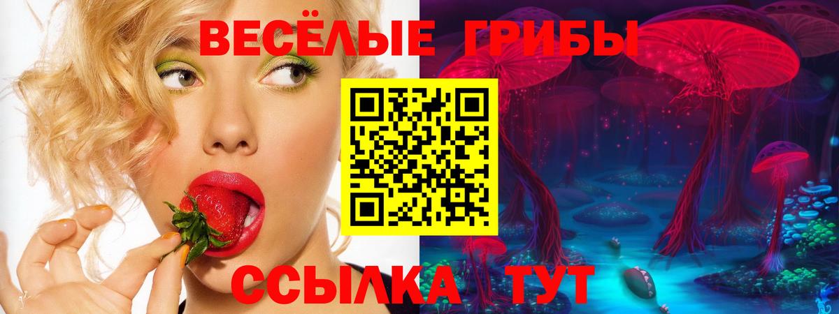 Псилоцибиновые грибы MAGIC MUSHROOMS Копейск