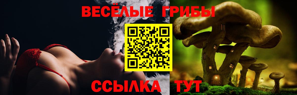 Копейск  Галлюциногенные грибы GOLDEN TEACHER  купить   Вход с VPN 